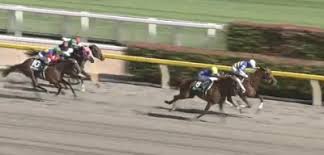 ユニコーンステークス g3 出馬表(2020年6月21日 東京11r) 予想に役立つ馬トク出馬表、各種データ、独自の指数がご利用いただけます。 ãƒ¦ãƒ‹ã‚³ãƒ¼ãƒ³s éŽåŽ»10å¹´ã®å‚¾å' è²·ãˆã‚‹æ¡ä»¶ ãƒ‡ãƒ¼ã‚¿æ¶ˆåŽ»æ³• ãƒ‡ãƒ¼ã‚¿ç«¶é¦¬äºˆæƒ³ æ¿€èµ° ãƒ‡ãƒ¼ã‚¿ç«¶é¦¬ Plus