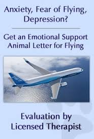 What do the letters say: Emotional Support Animal Center Faq