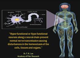 We are following all the recommended cdc guidelines and following local government mandates. Could The Spine Be A Contributing Factor In Multiple Sclerosis Spineology Chiropractic