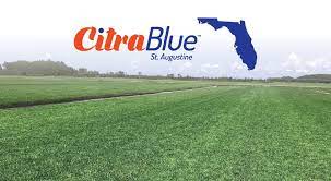 Maybe you would like to learn more about one of these? Citrablue St Augustine Acreage Map Turf Talk Sod Solutions Pro