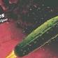 The Spicy Pickles feat. Hannah Rodriguez
