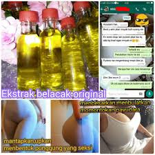 Bantu membesarkan saiz payudara yang kecil. Agen Stokis Pengedar Pemborong Supplier Murah Dan Original Seluruh Malaysia Minyak Belacak Murah