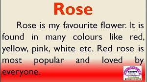 Essay On Rose In English My Favourite Flower Rose Youtube