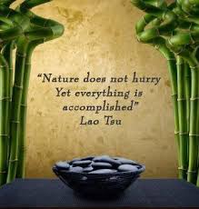 Meditation Matters St John S Center May 2012 Zen Quotes Lao Tzu Quotes Spiritual Quotes