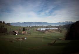 steuern viele gemeinden im kanton zurich senken die steuerfusse