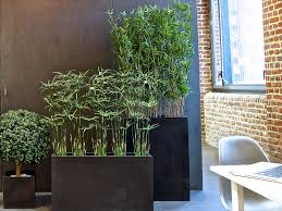 Bac De Bambous Artificiels H197 Cm Au Rendu Plus Vrai Que Nature Bac a fleurs rustica en pin sylvestre traité autoclave dimensions 40x40xh27cm. eur