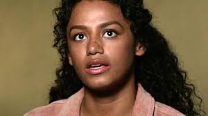 The Tourist (TV Series 2022–2024)