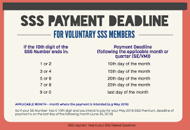 Guide To Sss Voluntary Members