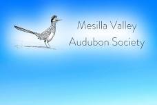 Mesilla Valley Bosque State Park Birding