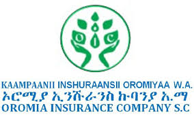 Ethiopian insurance corporation is an insurance company in ethiopia. Apr 2021 Oromia Insurance Profit Latest Ethiopian News Addisbiz Com