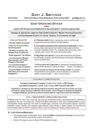 best executive resume writing service