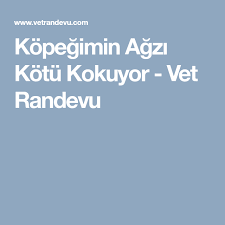 kopegimin agzi kotu kokuyor vet randevu veterinerler