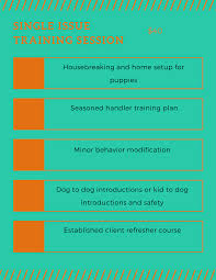 Single Issue Session Real Terms Dog Training Solutions