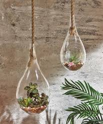 Large Hanging Terrarium Hanging Terrarium Small Terrarium Terrarium