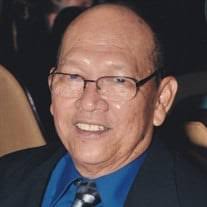 Ludovico Alegria Tanaleon Jr Obituary (2024)