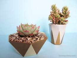Maybe you would like to learn more about one of these? 15 Trendy Diy Geometric Planters You Can Easily Make Shelterness