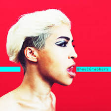 Wheelchair Sports Camp