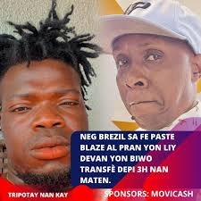 Les Amis De Michel Martelly president 2022