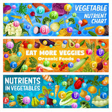 Vegetables Nutrient Chart And Organic Food Health Benefits Vector