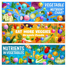 vegetables nutrient chart and organic food health benefits vector