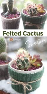 Canada's next stat holiday is saint george's day on april 26. 110 Cactus Party Ideas In 2021 Cactus Party Cactus Fiesta