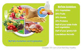 The Shortcomings Of Usda Myplate Diet Plan 101 My Plate 1500 Calorie Diet Plan How To Stay Healthy