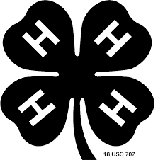 Check spelling or type a new query. 4 H Management Texas 4 H