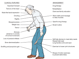 Dementias And Related Disorders Gerontological Nursing Part 2