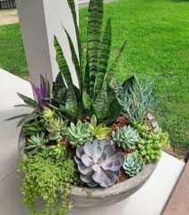 Epingle Sur Plantes