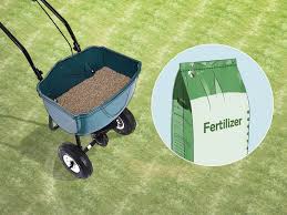 We did not find results for: 9 Easy Ways To Get Rid Of Weeds Without Killing Grass Wikihow