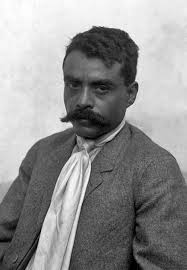 The Monroys' Curiosity