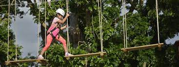 How to play my forest adventures. Outdoor Activity For Kids