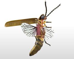 Firefly 3d Model On Cubebrush Co In 2020 3d Model Pbr Rigs