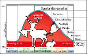 Biological Carrying Capacity In An Ecological Standpoint It Is The Maximum Number Of Individuals That A Given Biology Lessons Mind Map Examples Life Science