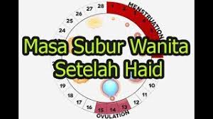 Walau bagaimanapun teknik ini hanya dapat dilakukan untuk wanita yang mempunyai kitaran haid yang tetap sahaja. Berapa Hari Ovulasi Terakhir Lain Lain 2021