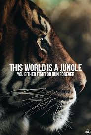Maybe you would like to learn more about one of these? 11 Motivational Quotes From Cats Will Have You Feeling Invincible I Can Has Cheezburger