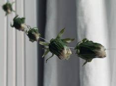 Ich mach' die ausnahme mit dir. Petra Frey Nachtigall Freynachtigall Profil Pinterest