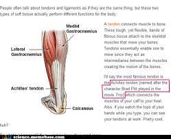Technically Correct Skeletal Muscle Science Jokes Art Of Trolling