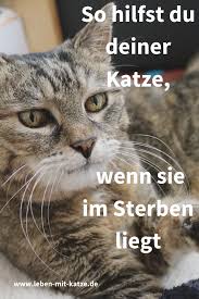 Wenn Deine Katze Stirbt In 2020 Cats Pet Health Record Cat Supplies
