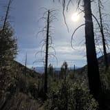 Cave Creek Canyon Trail #149, Arizona