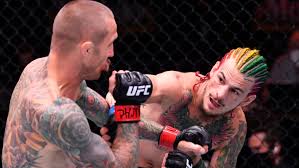 Join me as we take a closer glance into this matrix fighters st. Does Ufc Star Sean O Malley Have What It Takes To Move Past First Loss