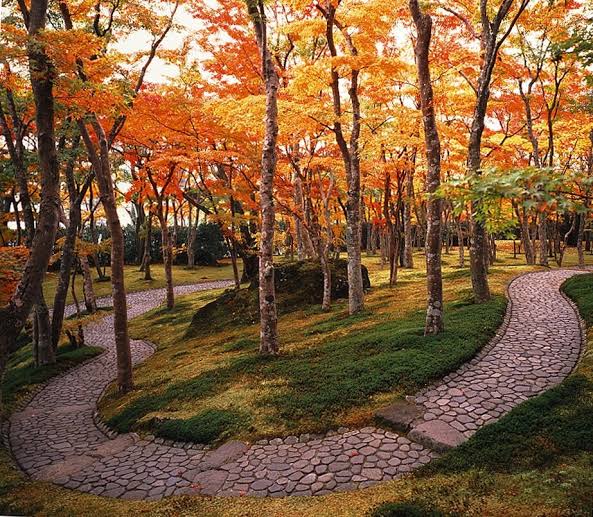 箱根美術館の紅葉(神奈川県) ｜紅葉名所2026