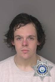 Public Safety Log (Nov. 23)