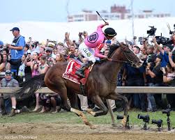 Watch the historic 145th preakness stakes, which was run in october for the first time ever. 2020 Preakness Stakes Odds Statistical Analysis Historic Winners Horse Racing News