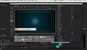 Each lower third has different available parameters based on the needs of that. Free Premiere Pro Intro Templates Skieyhollywood