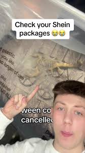 Des Gens Qui Trouvent Des Scorpions Dans Leurs Colis