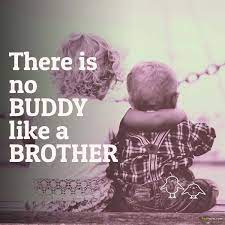 Enjoy these quotes on sibling bond. Funny Brother Quotes Brother Sister Quotes Brother Quotes Funny Sister Quotes