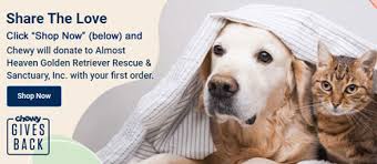Golden retrievers also love children and make great companions to both kids and the elderly. Almost Heaven Golden Retriever Rescue And Sanctuary Inc A 501 C 3 Non Profit Organization