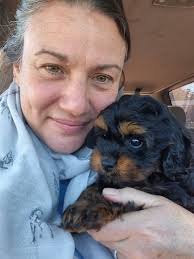 Woods Cavoodles, Cavaliers & Poodles NSW