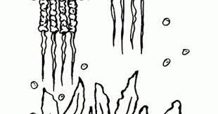 Maybe you would like to learn more about one of these? Mewarnai Gambar Ubur Ubur Contoh Gambar Mewarnai Gambar Flora Dan Fauna Gambar Hewan Sketsa